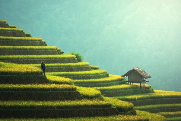 Asia
