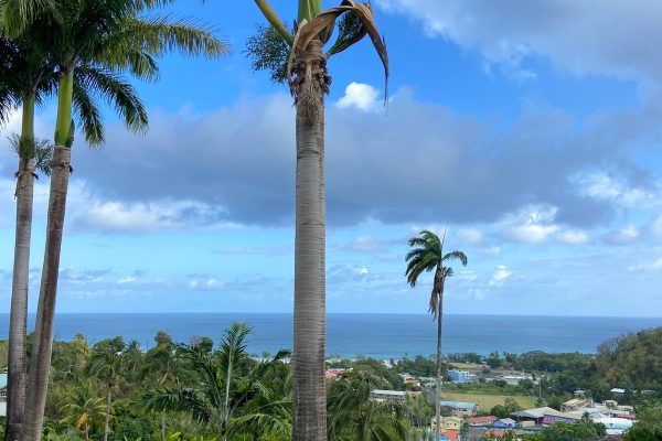 Saint Lucia